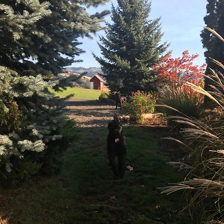 Husum Highlands Bed And Breakfast Bagian luar foto