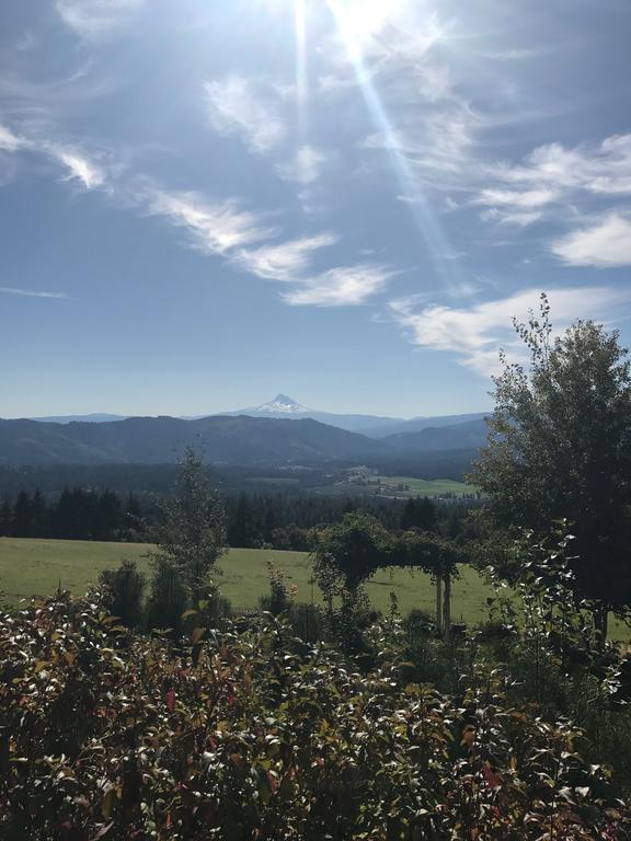 Husum Highlands Bed And Breakfast Bagian luar foto